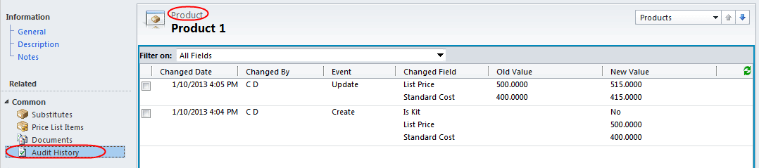 Microsoft Dynamics CRM 2011 Auditing - 11