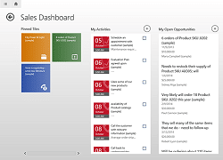 MicrosoftDynamicsCRM2013 sales dashboard