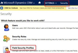 Field-Security-Profiles-300x204