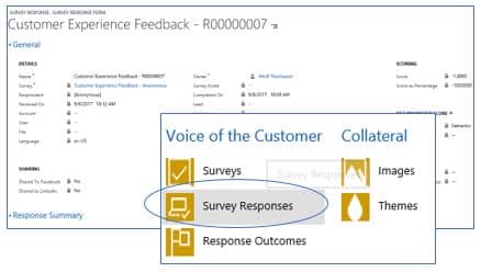 Voice of the Customer Survey Responses